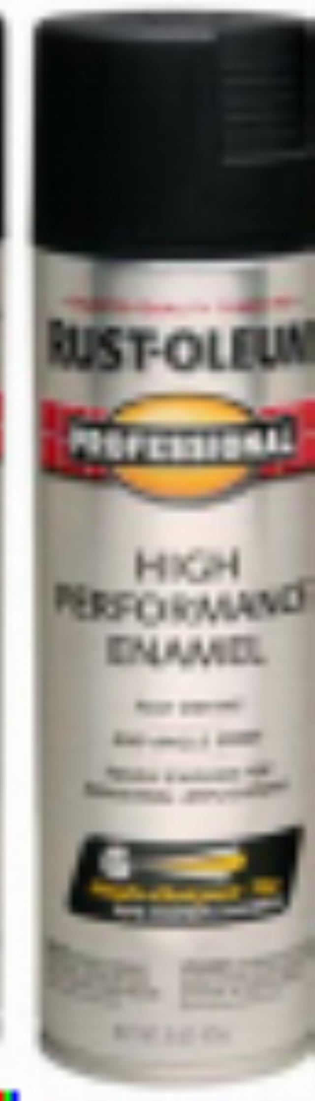 Where to rent Spray paint, Black, 15 oz in Bowling Green FL